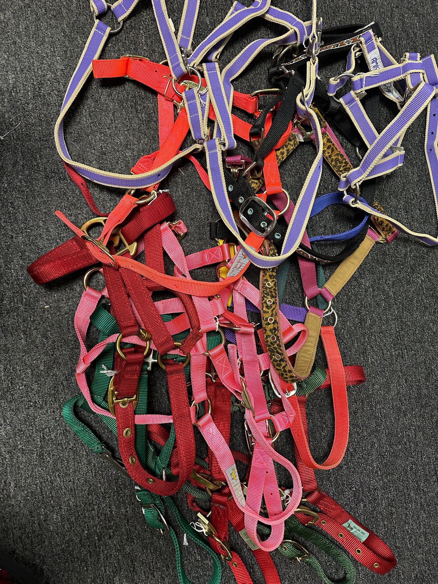 Small Horse Cob Size Halters Nylon Assorted