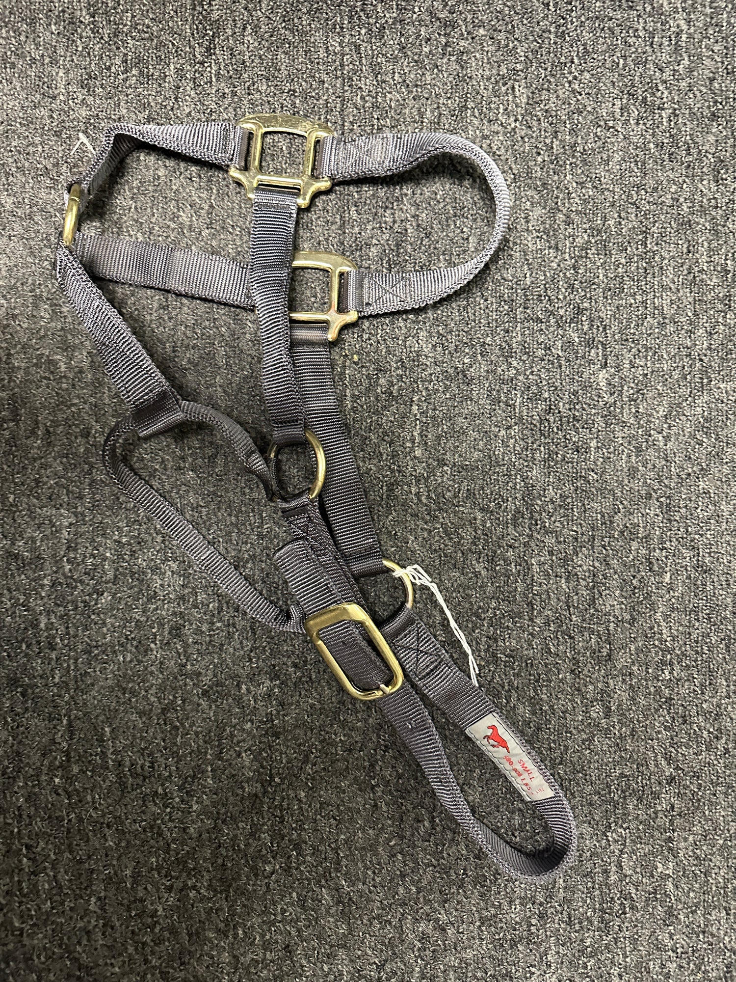 Yearling Halters Nylon Assorted