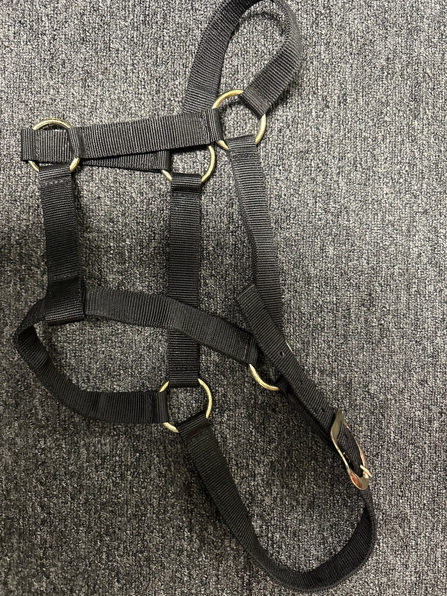 Yearling Halters Nylon Assorted