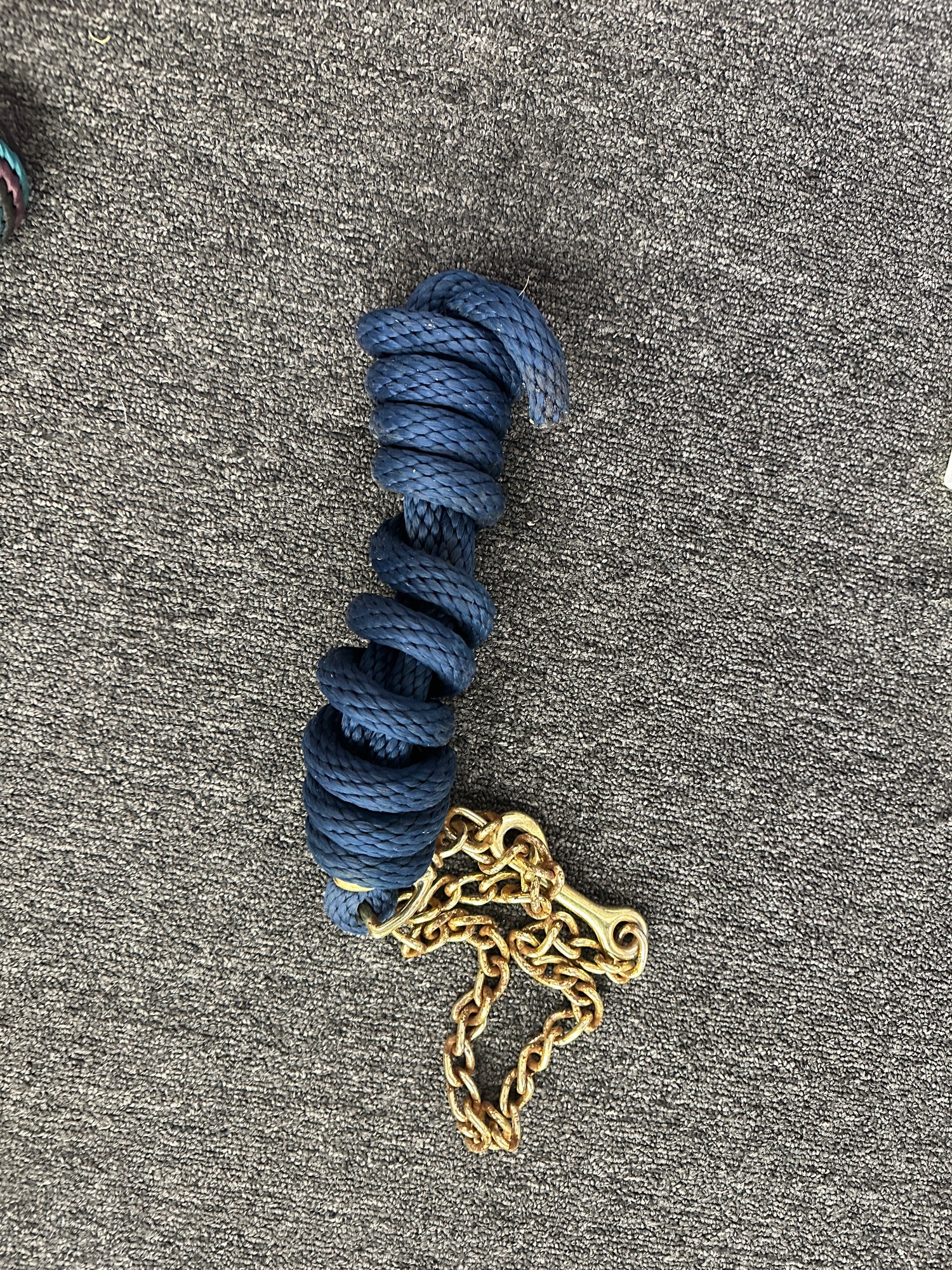 Blue Nylon lead with gold chain