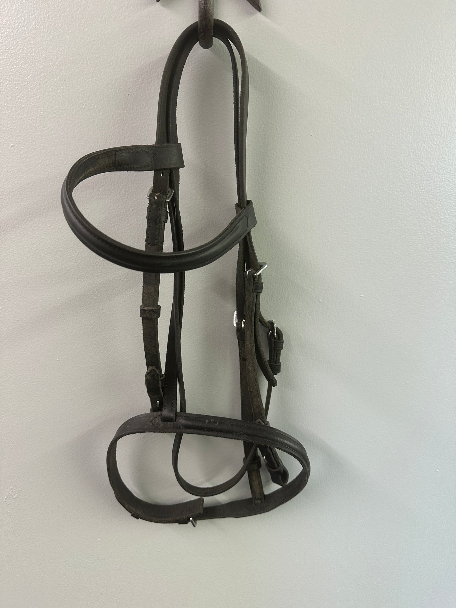 Bridle - English Cob headstall