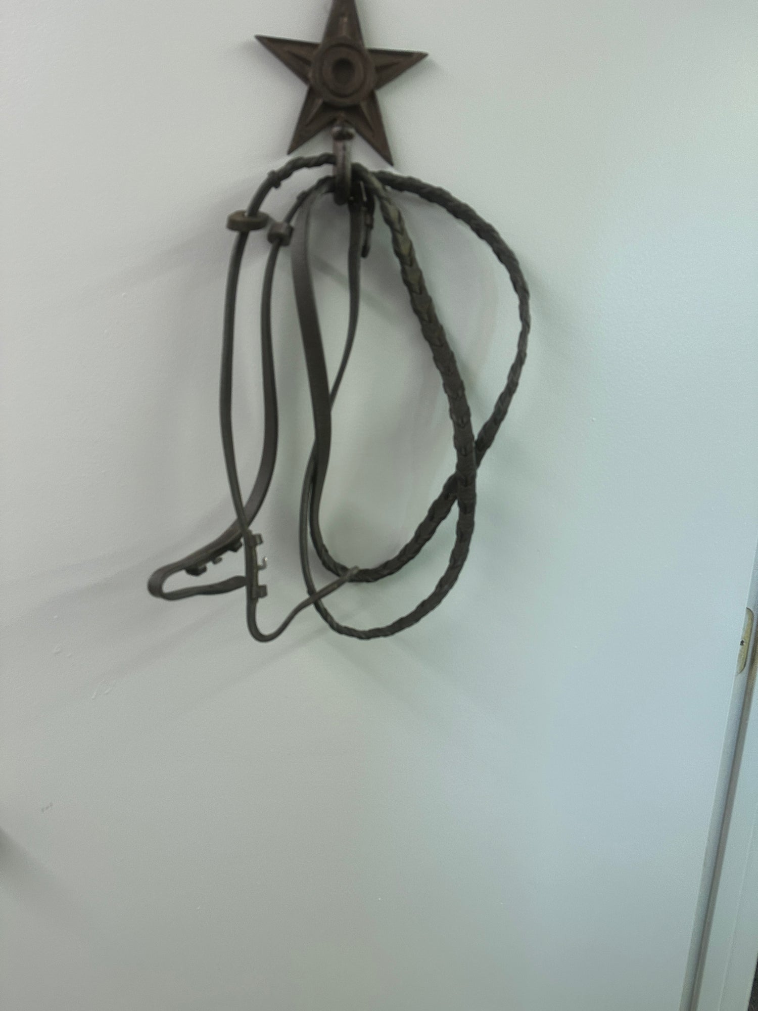 English Braided Reins