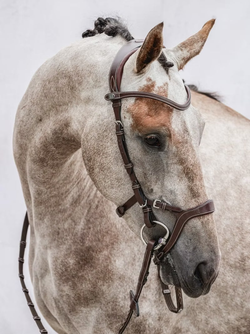 PS of Sweden Nirak Bridle in Brown