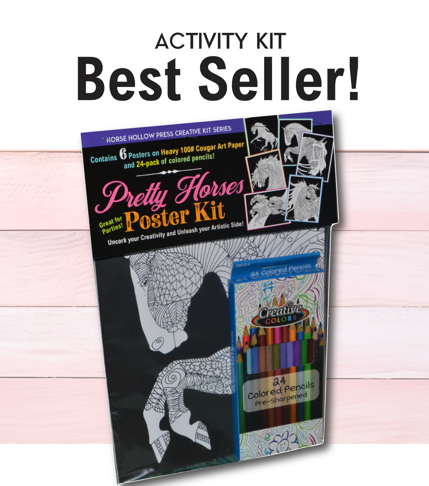 Art Coloring Kit / Horse Drawings