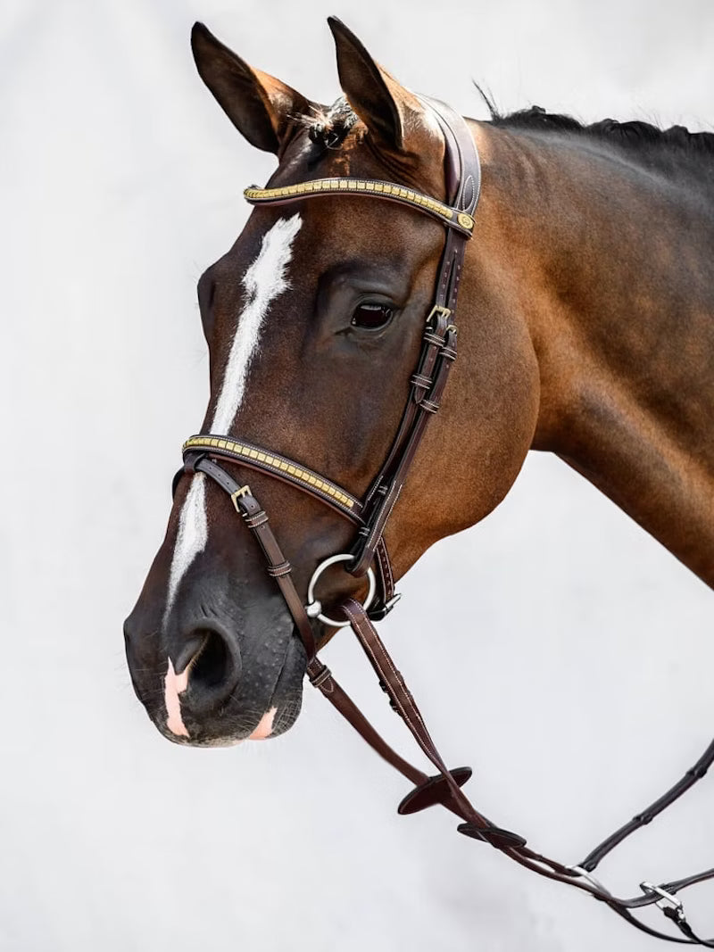 PS of Sweden Antwerp Original & 2.0   Bridle in Brown