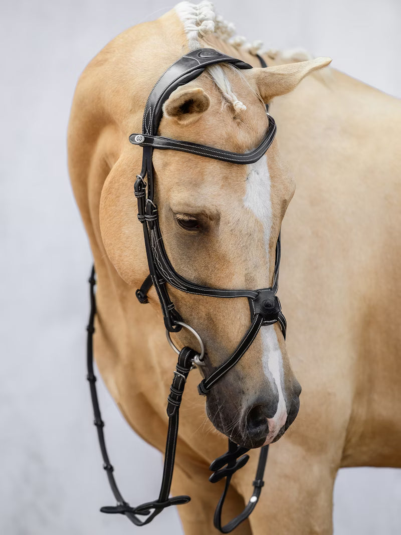 PS of Sweden Athens Bridle in Brown or Black