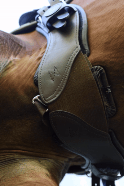 Total Saddle Fit StretchTec Shoulder Relief Girth™ - Dressage size 18" - 30"