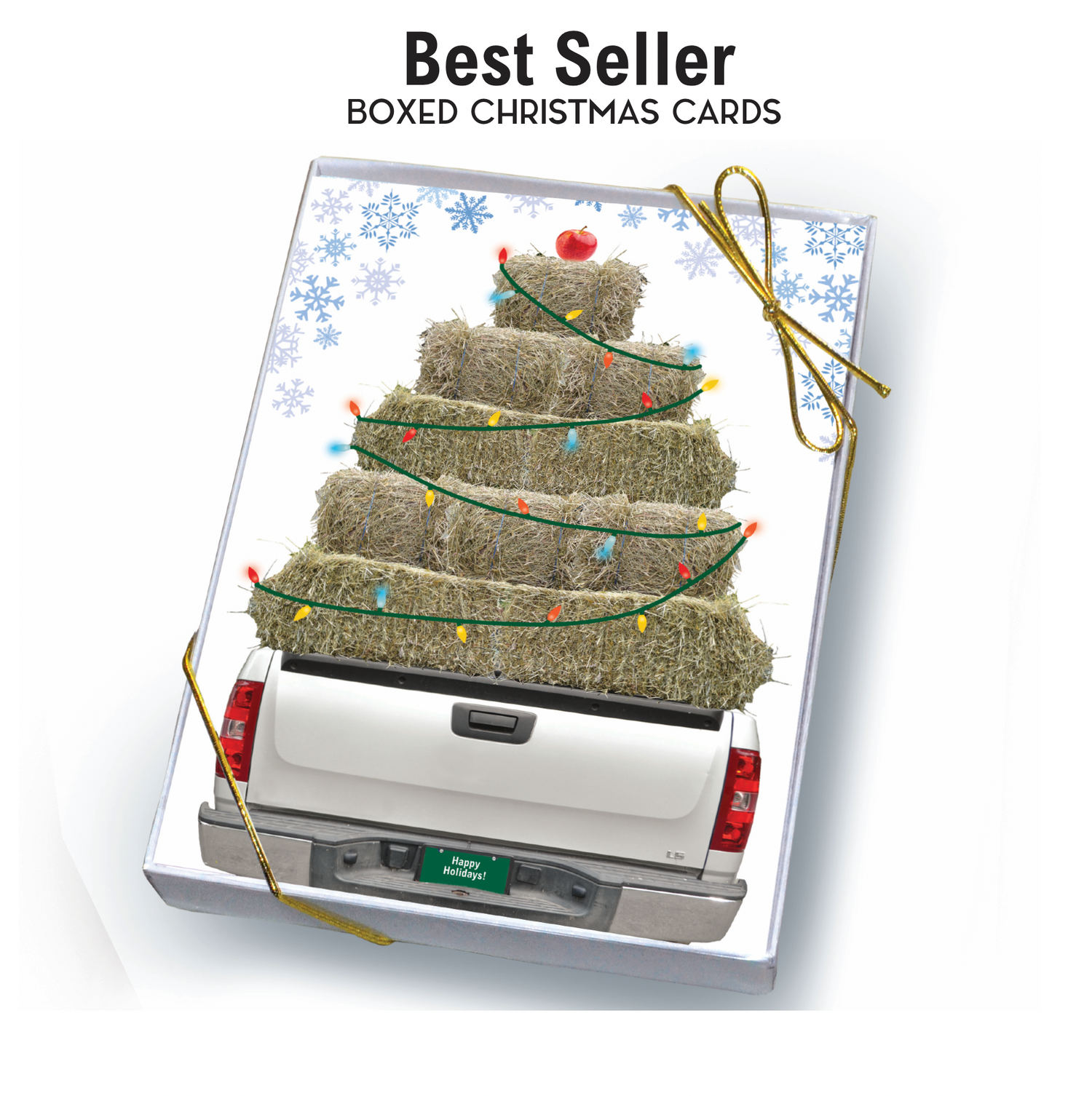 Horse Boxed Christmas Cards | Hay Snowflakes | 8 Holiday