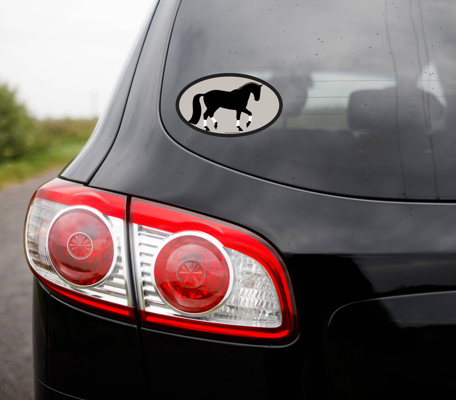 Oval Equestrian Horse Sticker / Passage / WATERPROOF