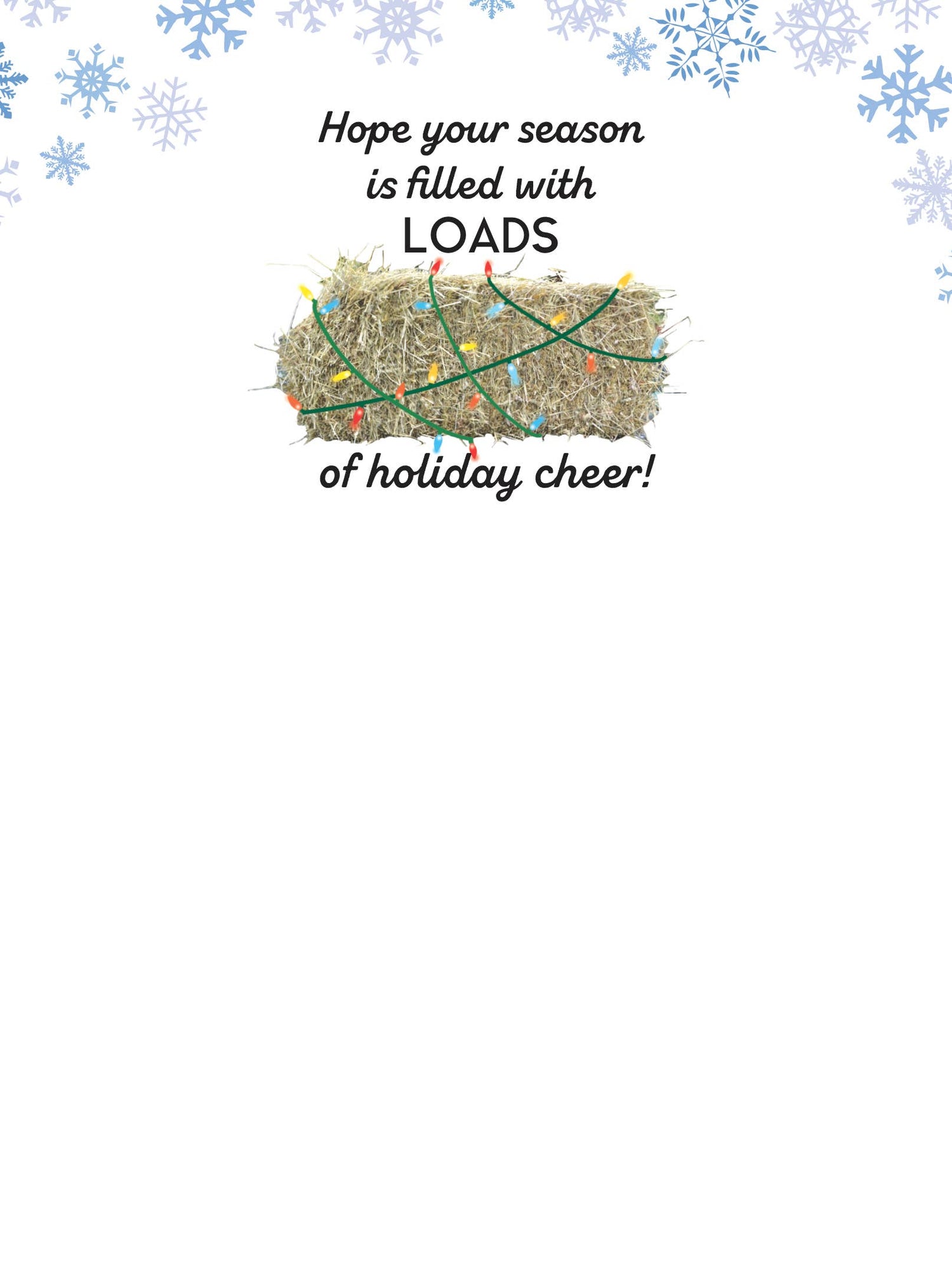 Horse Boxed Christmas Cards | Hay Snowflakes | 8 Holiday