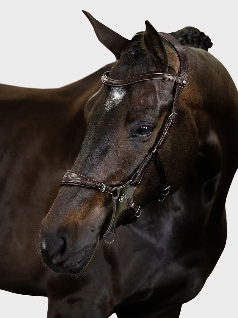 PS of Sweden Bridle Hackamore Sport in Brown and Black