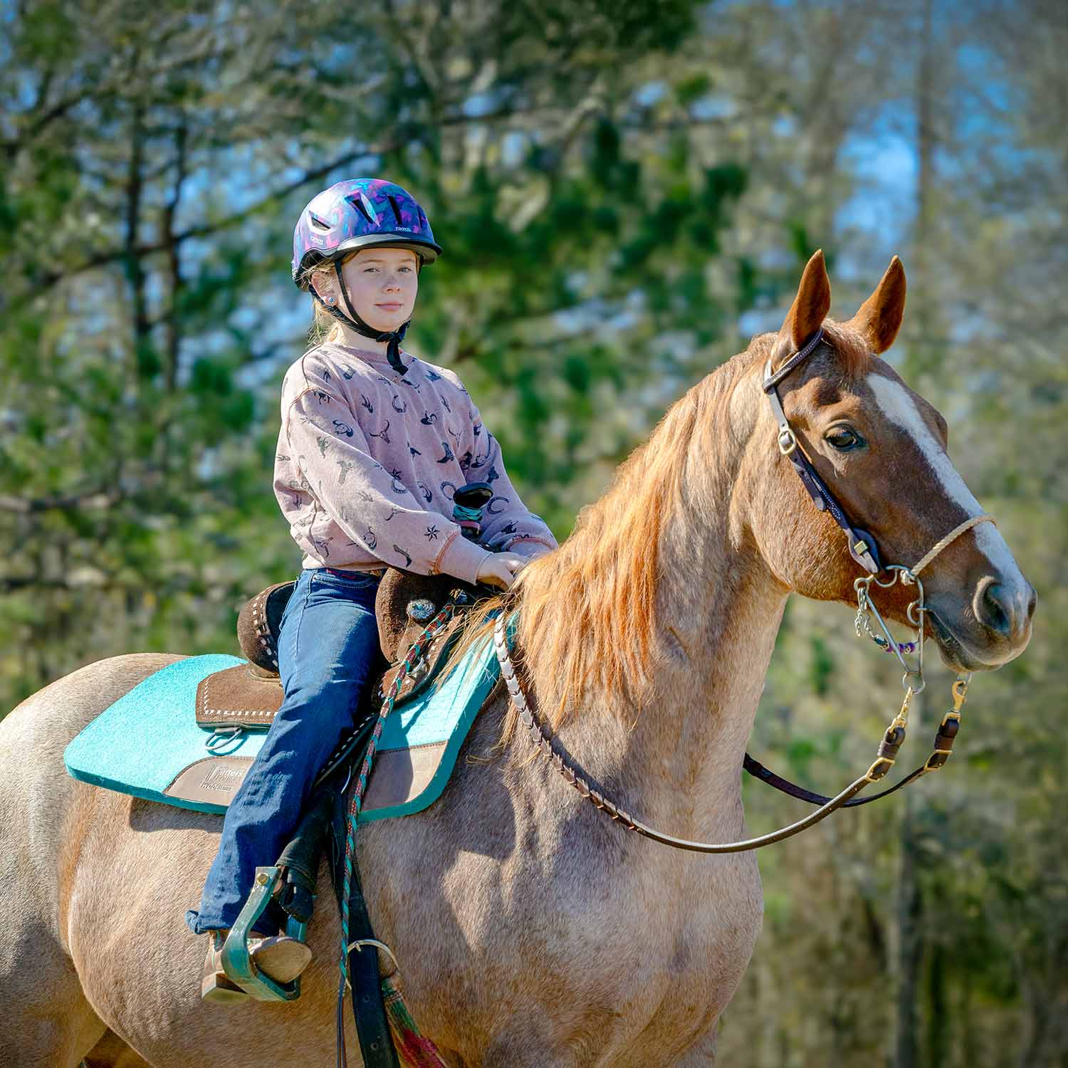 Jeffers WoolLuxe 100% Wool Equine Saddle Pad – Cushioned, Breathable, and Shock-Absorbing
