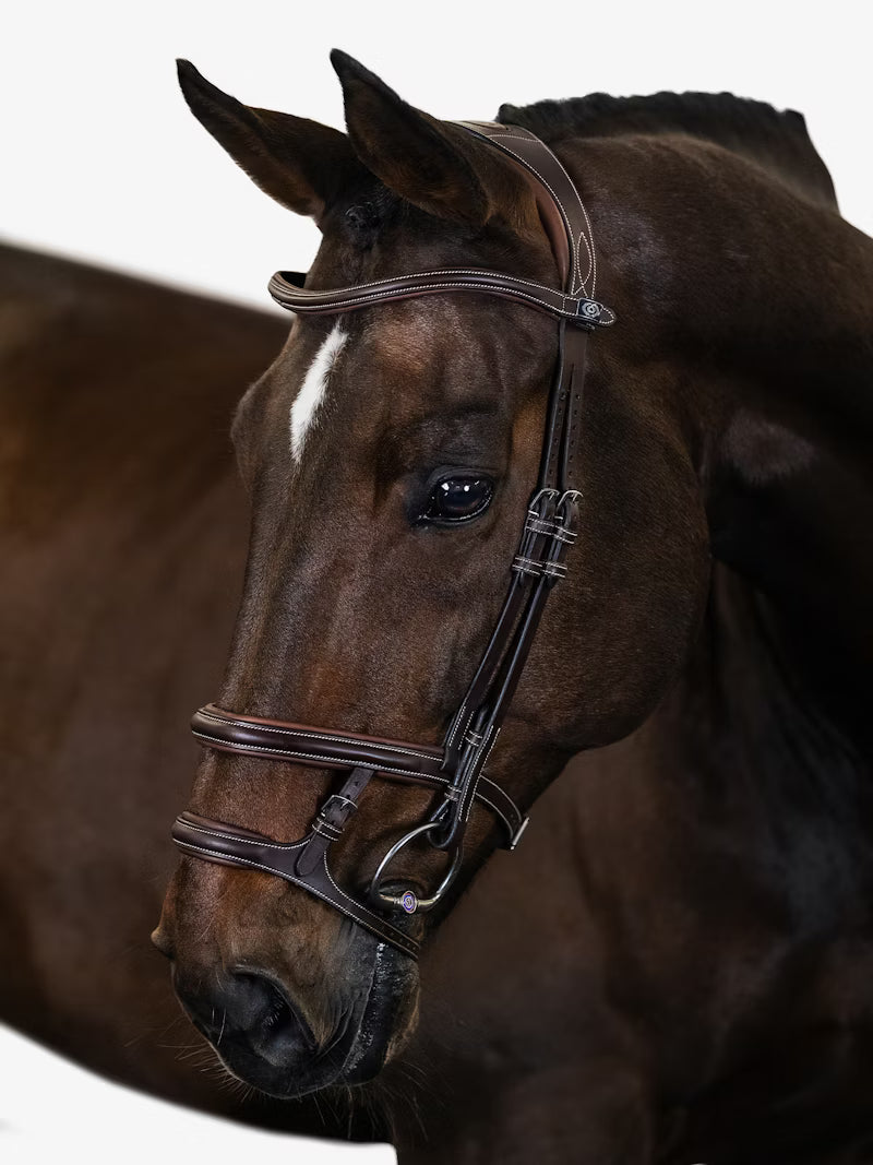 PS of Sweden Paris Bridle in Brown