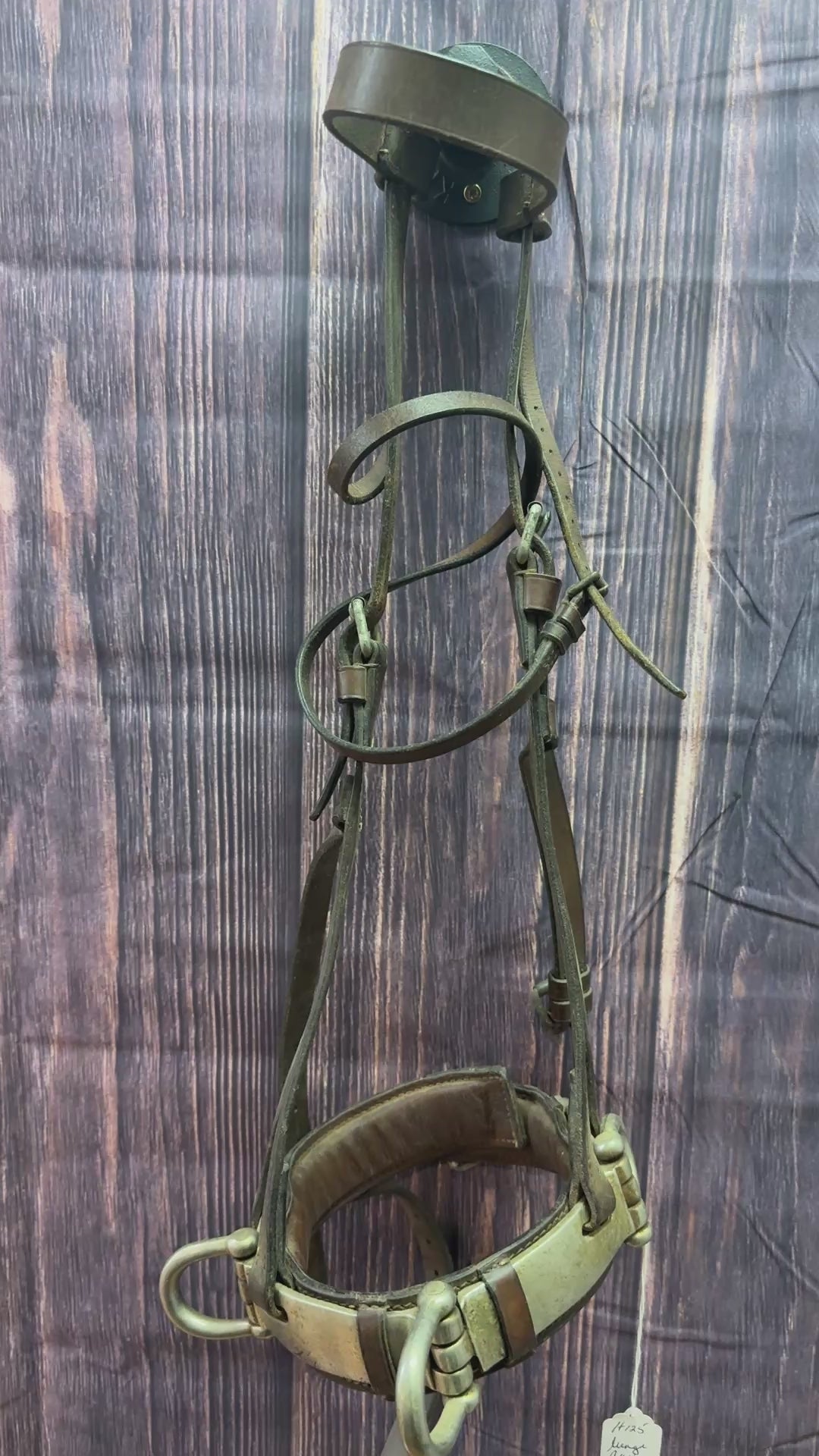 Heavy duty Large horse Lunge Cavesson